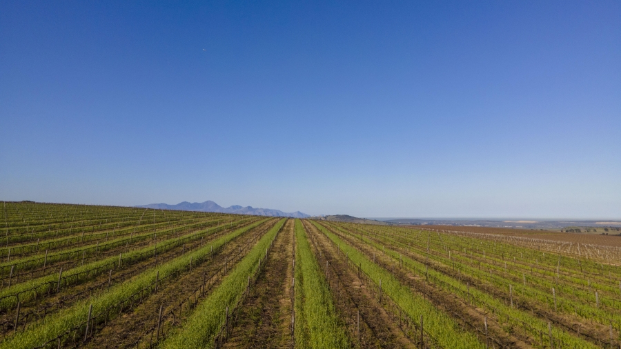 4 Bedroom Property for Sale in Lyndoch Western Cape